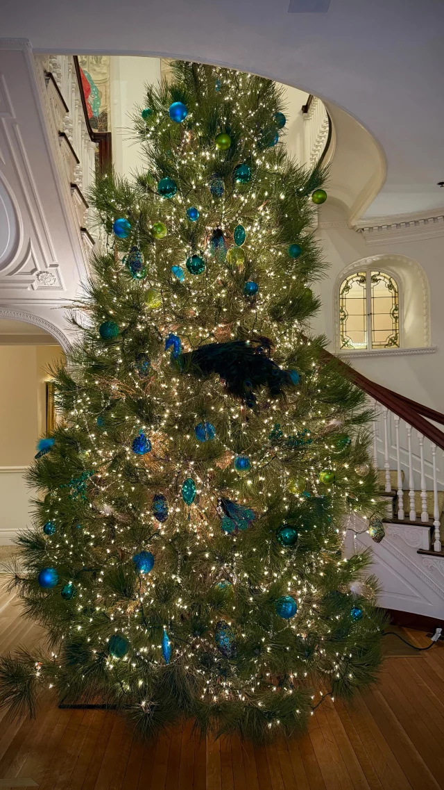 Behind the scenes of one of our favorite days of the year: transforming the Quatela Center for the holidays!

Wishing everyone a wonderful, joy-filled holiday season🌟🎄